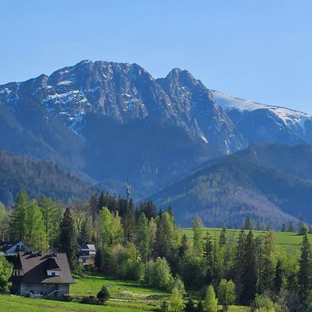 Апартаменти Marol Wynajem Pokoi Закопане Екстер'єр фото